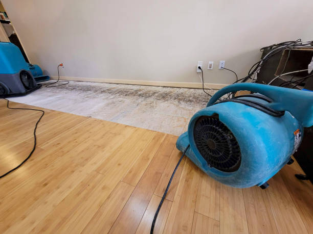 Professional Structural Drying technician working in Cumberland City, TN
